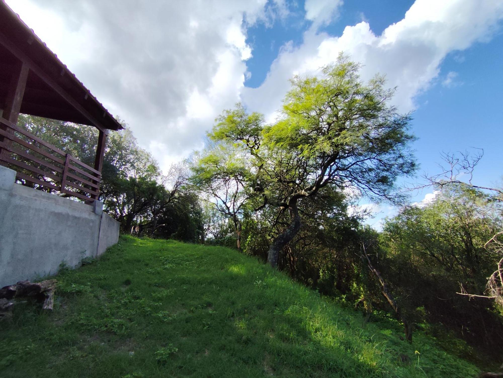 Margus * La Granja